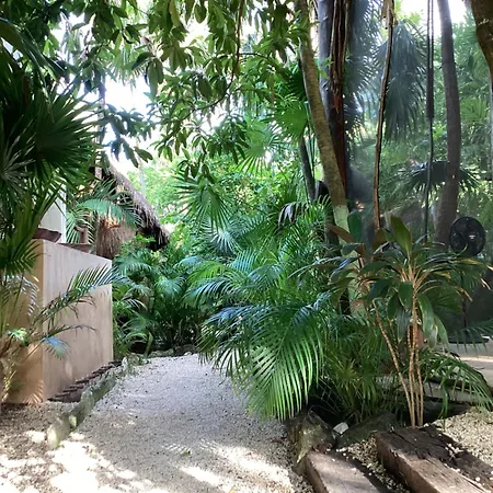 Yaxchen Tulum Cabañas&Cenote-2